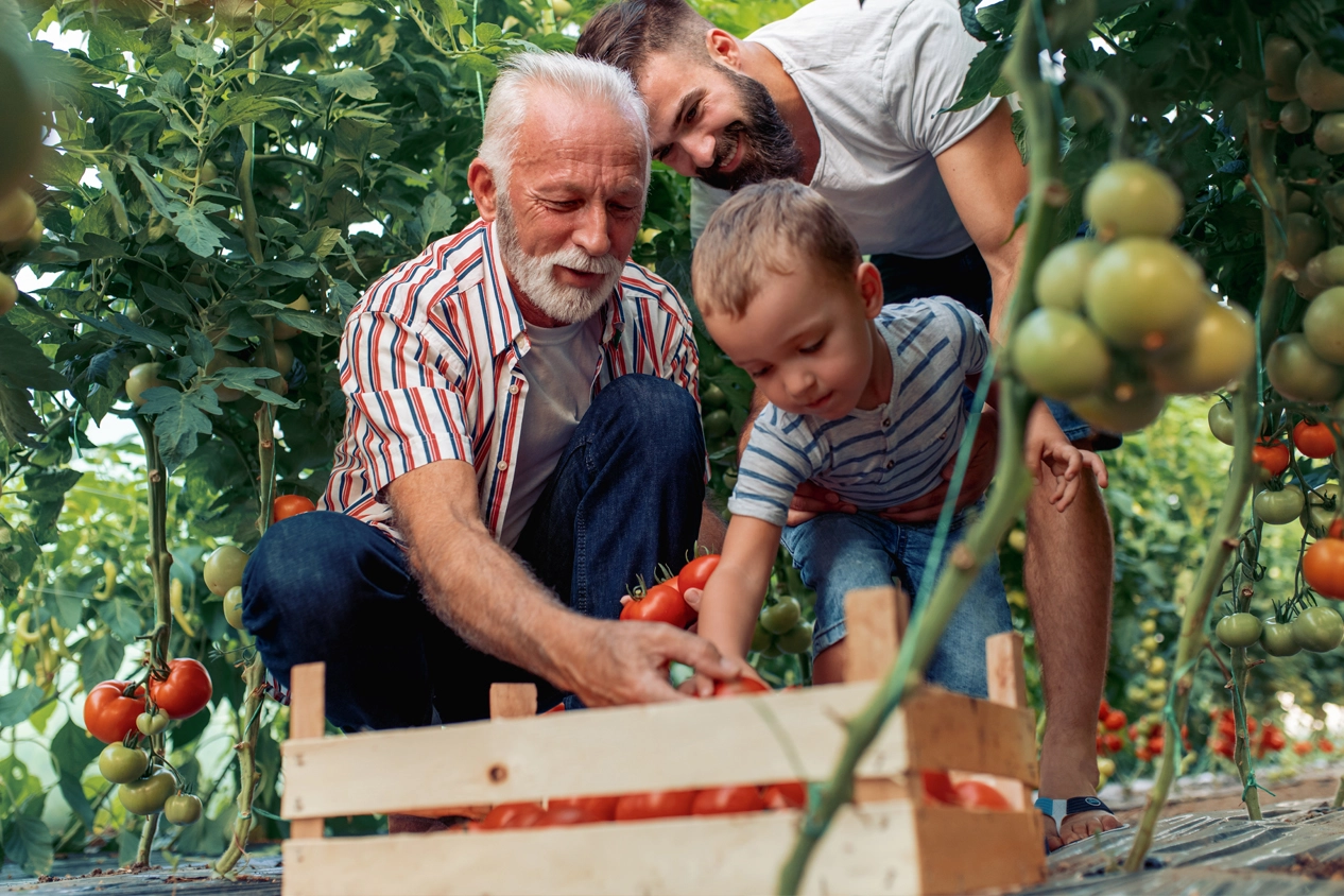 Louisiana Life insurance coverage